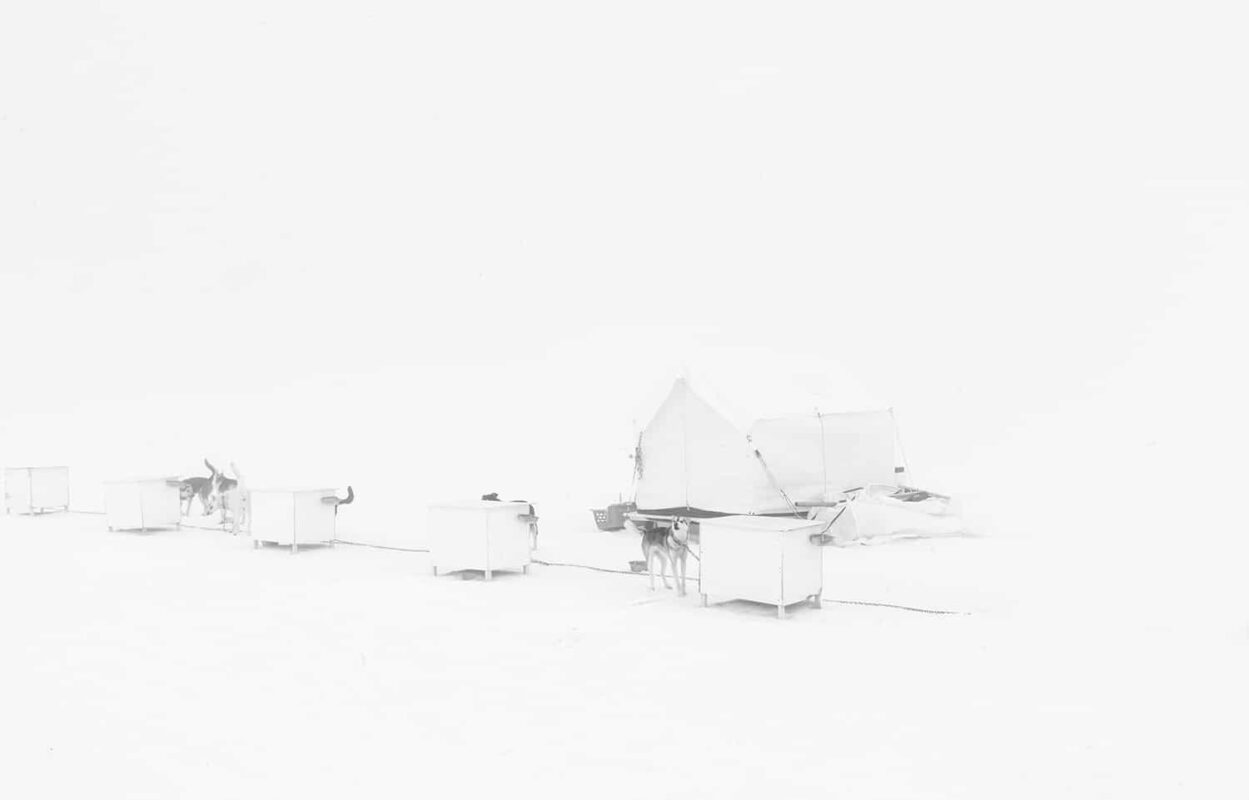 Glacier Landing with Dog Sledding adventure Alaska, Glacier Dog Sledding & Helicopter Tour, Glacier Dog Sled Adventure, Alaska Glacier Dogsledding plus Lower Glacier Landing