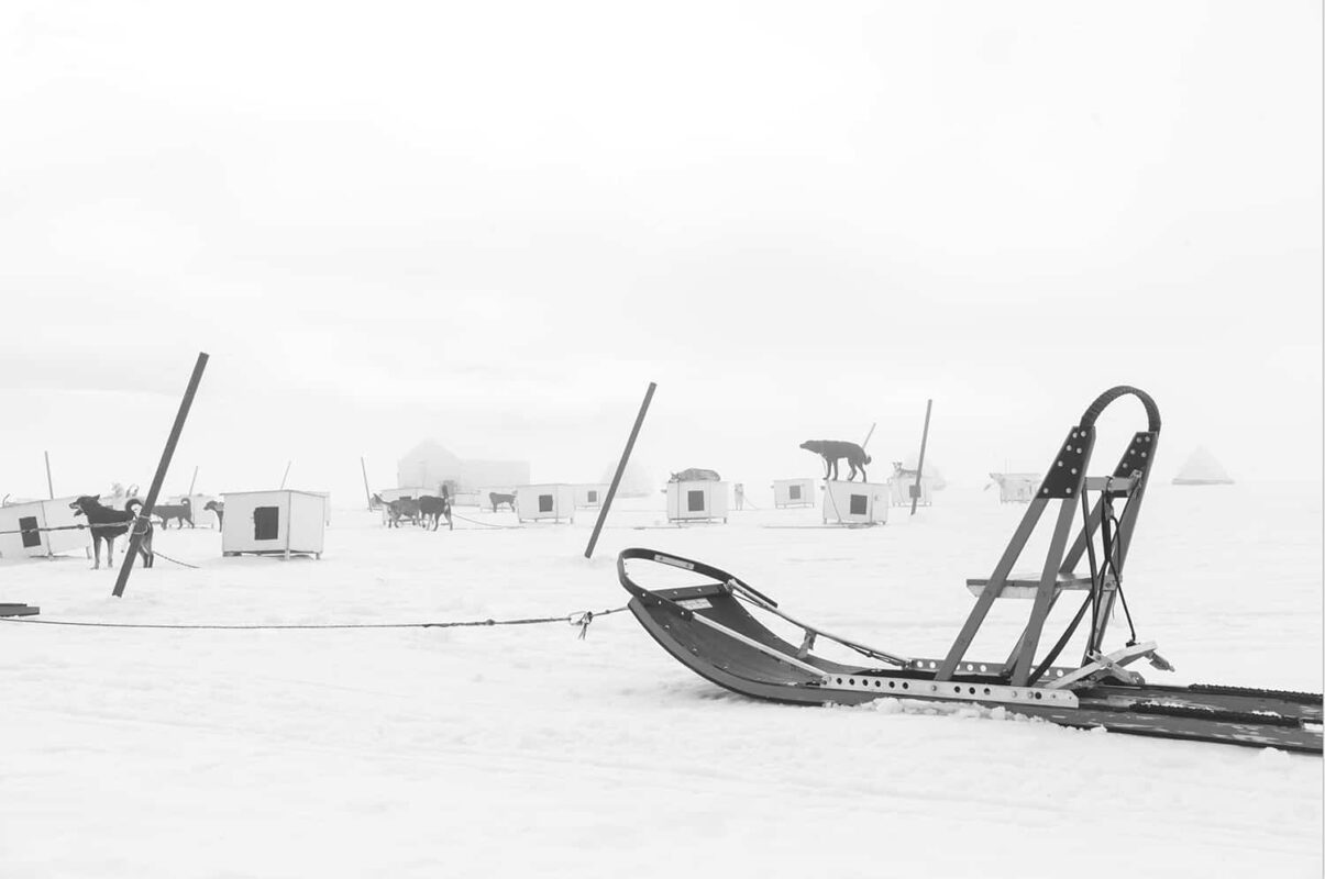 Glacier Landing with Dog Sledding adventure Alaska, Glacier Dog Sledding & Helicopter Tour, Glacier Dog Sled Adventure, Alaska Glacier Dogsledding plus Lower Glacier Landing