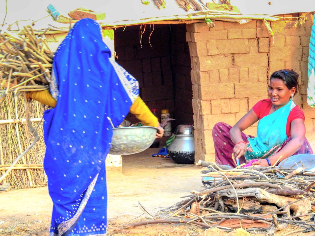 Rural India and the Gond Tribe of Central India, Rural India, Travel Photography Gond tribe, Travel Blog by Dr Zenaidy Castro, travel blogger and wanderlust blogger life blog life travel blogging Gond Tribe of Central India