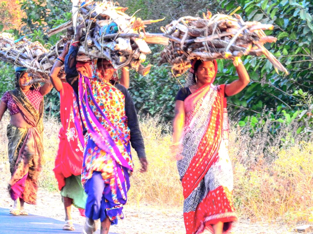 Rural India and the Gond Tribe of Central India, Rural India, Travel Photography Gond tribe, Travel Blog by Dr Zenaidy Castro, travel blogger and wanderlust blogger life blog life travel blogging Gond Tribe of Central India