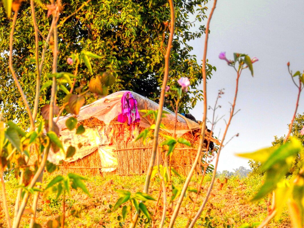 Rural India and the Gond Tribe of Central India, Rural India, Travel Photography Gond tribe, Travel Blog by Dr Zenaidy Castro, travel blogger and wanderlust blogger life blog life travel blogging Gond Tribe of Central India