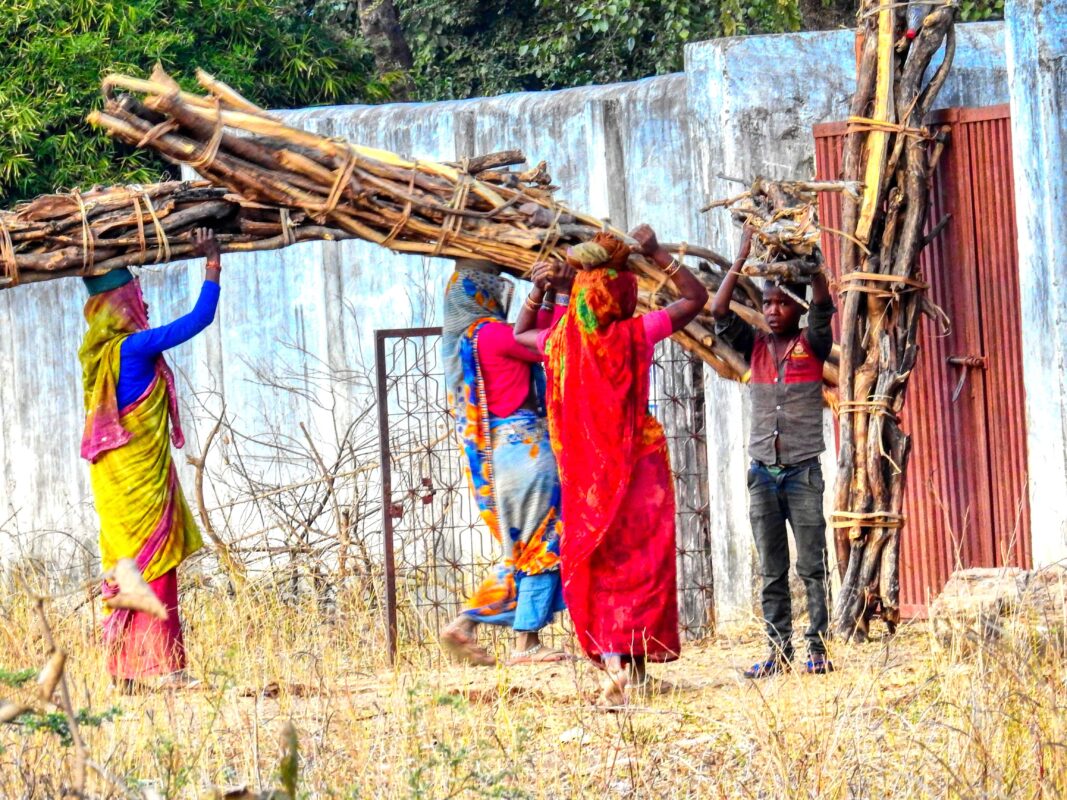 Rural India and the Gond Tribe of Central India, Rural India, Travel Photography Gond tribe, Travel Blog by Dr Zenaidy Castro, travel blogger and wanderlust blogger life blog life travel blogging Gond Tribe of Central India