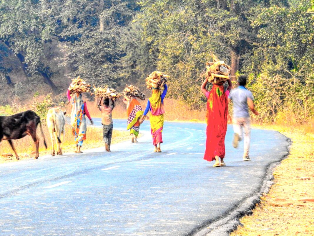 Rural India and the Gond Tribe of Central India, Rural India, Travel Photography Gond tribe, Travel Blog by Dr Zenaidy Castro, travel blogger and wanderlust blogger life blog life travel blogging Gond Tribe of Central India