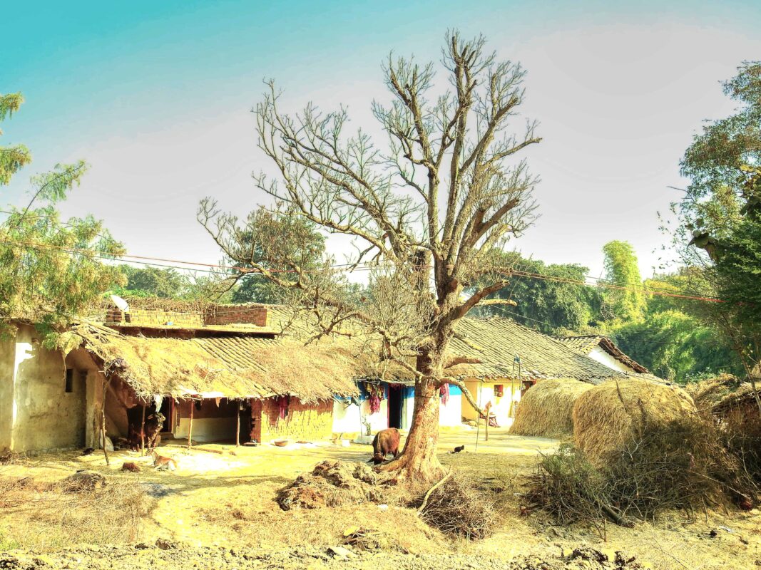 Rural India and the Gond Tribe of Central India, Rural India, Travel Photography Gond tribe, Travel Blog by Dr Zenaidy Castro, travel blogger and wanderlust blogger life blog life travel blogging Gond Tribe of Central India