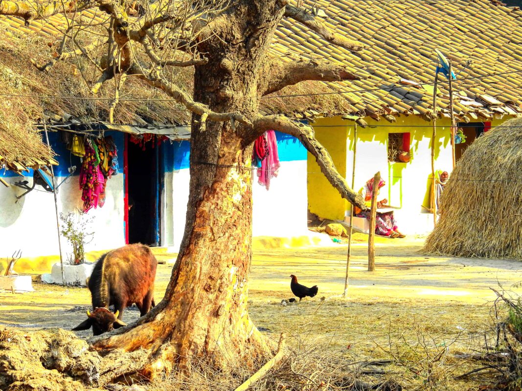 Rural India and the Gond Tribe of Central India, Rural India, Travel Photography Gond tribe, Travel Blog by Dr Zenaidy Castro, travel blogger and wanderlust blogger life blog life travel blogging Gond Tribe of Central India