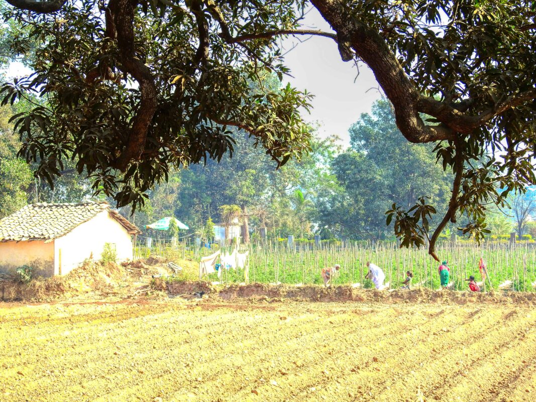 Rural India and the Gond Tribe of Central India, Rural India, Travel Photography Gond tribe, Travel Blog by Dr Zenaidy Castro, travel blogger and wanderlust blogger life blog life travel blogging Gond Tribe of Central India