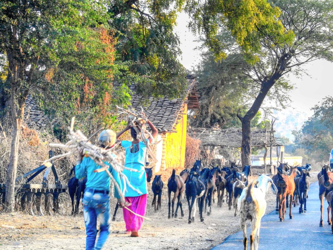 Rural India and the Gond Tribe of Central India, Rural India, Travel Photography Gond tribe, Travel Blog by Dr Zenaidy Castro, travel blogger and wanderlust blogger life blog life travel blogging Gond Tribe of Central India