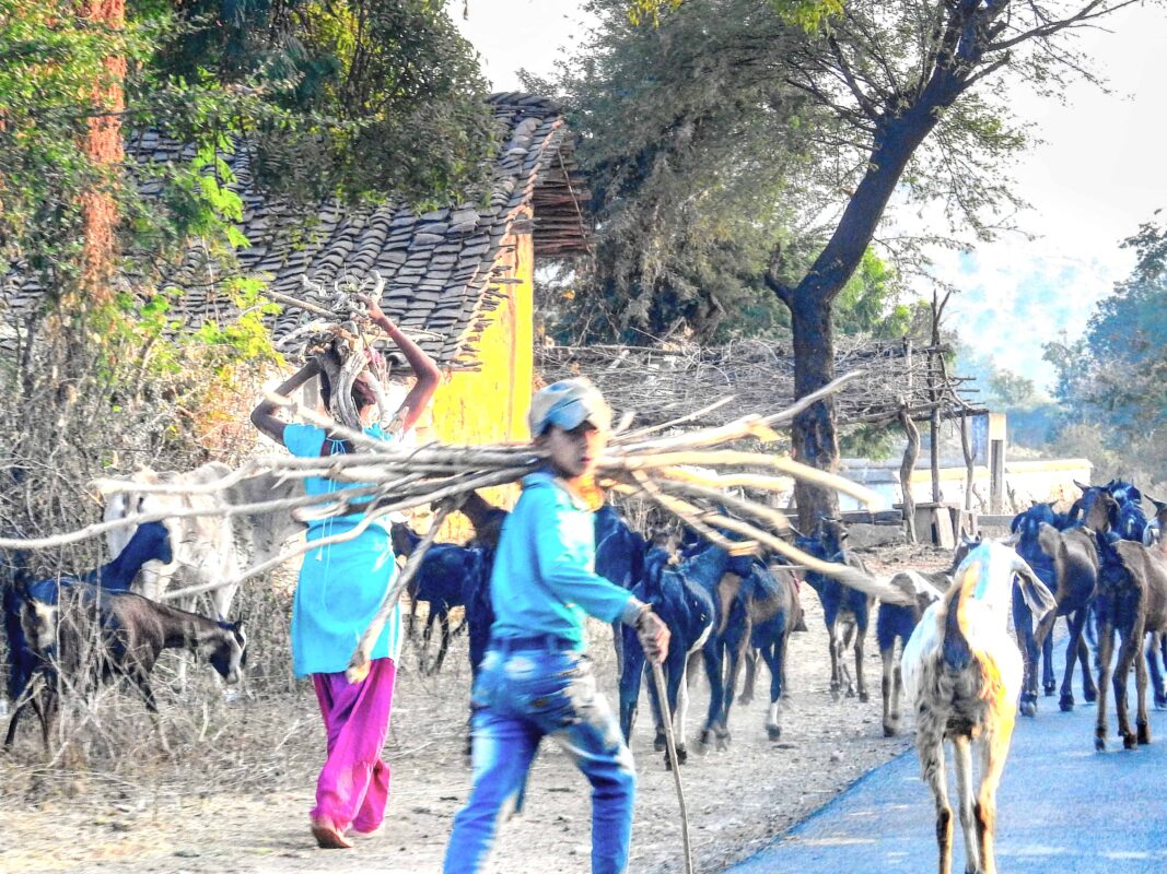 Rural India and the Gond Tribe of Central India, Rural India, Travel Photography Gond tribe, Travel Blog by Dr Zenaidy Castro, travel blogger and wanderlust blogger life blog life travel blogging Gond Tribe of Central India
