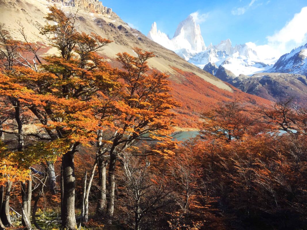 Hiking to Mount Fitz Roy and Hiking to Laguna de los Tres in El Chaltén, Sendero al Fitz Roy, Cerro Fitz Roy Patagonia, the trail to Mount Fitz Roy and Laguna de los Tres. Fitz Roy Trek as one of Patagonia's Best Hikes, Patagonia South America