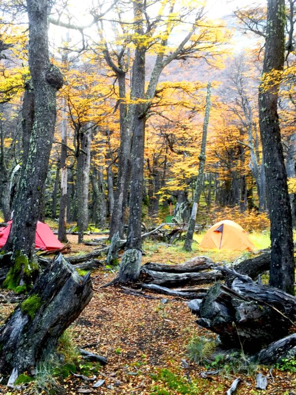 Hiking to Mount Fitz Roy and Hiking to Laguna de los Tres in El Chaltén, Sendero al Fitz Roy, Cerro Fitz Roy Patagonia, the trail to Mount Fitz Roy and Laguna de los Tres. Fitz Roy Trek as one of Patagonia's Best Hikes, Patagonia South America