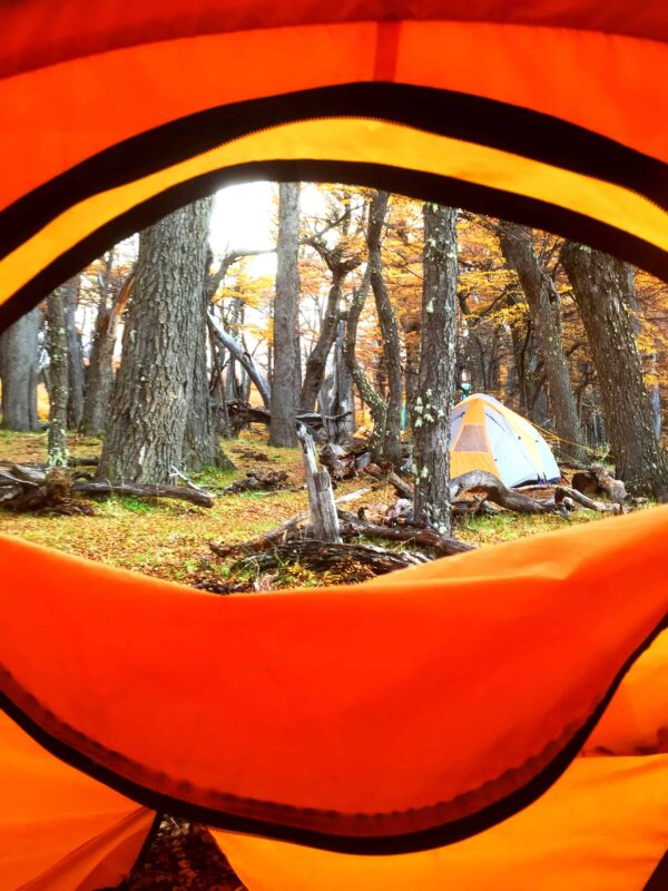 Hiking to Mount Fitz Roy and Hiking to Laguna de los Tres in El Chaltén, Sendero al Fitz Roy, Cerro Fitz Roy Patagonia, the trail to Mount Fitz Roy and Laguna de los Tres. Fitz Roy Trek as one of Patagonia's Best Hikes, Patagonia South America