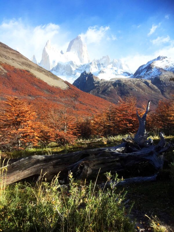 Hiking to Mount Fitz Roy and Hiking to Laguna de los Tres in El Chaltén, Sendero al Fitz Roy, Cerro Fitz Roy Patagonia, the trail to Mount Fitz Roy and Laguna de los Tres. Fitz Roy Trek as one of Patagonia's Best Hikes, Patagonia South America