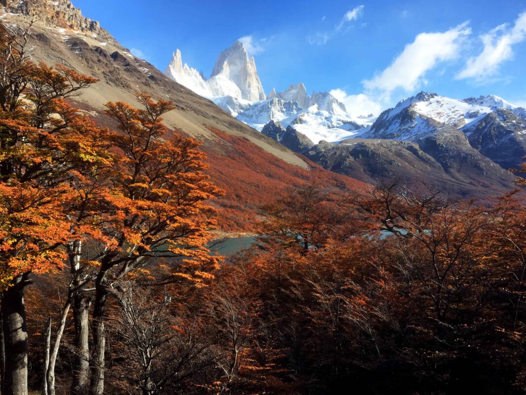Hiking to Mount Fitz Roy and Hiking to Laguna de los Tres in El Chaltén, Sendero al Fitz Roy, Cerro Fitz Roy Patagonia, the trail to Mount Fitz Roy and Laguna de los Tres. Fitz Roy Trek as one of Patagonia's Best Hikes, Patagonia South America