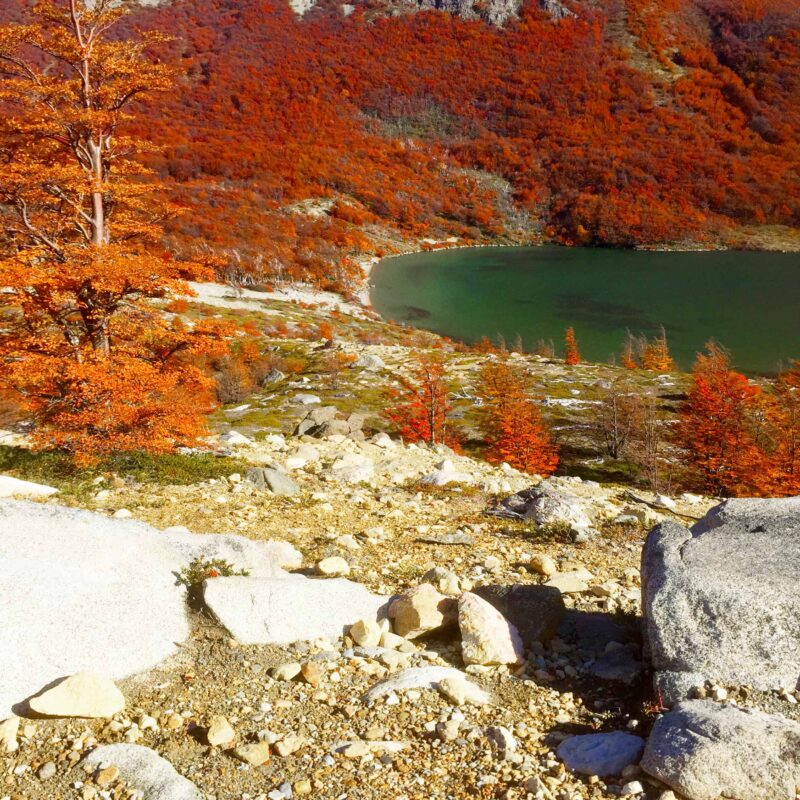 Hiking to Mount Fitz Roy and Hiking to Laguna de los Tres in El Chaltén, Sendero al Fitz Roy, Cerro Fitz Roy Patagonia, the trail to Mount Fitz Roy and Laguna de los Tres. Fitz Roy Trek as one of Patagonia's Best Hikes, Patagonia South America