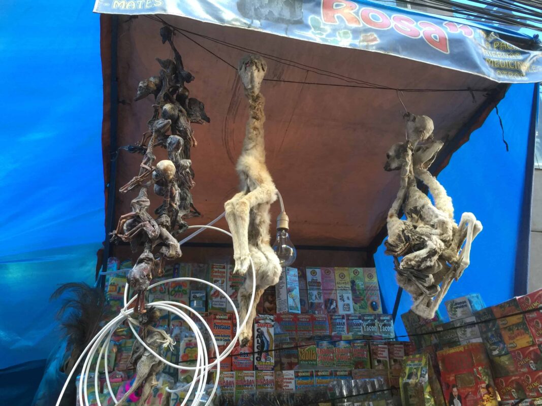 Goodluck Charms Potions and Spells inside Witches Market of Lapaz, La Paz Witches Market, The Witches' Market in La Paz Bolivia, The Witches Market of La Paz, Shopping for spells at the Witches Market in La Paz