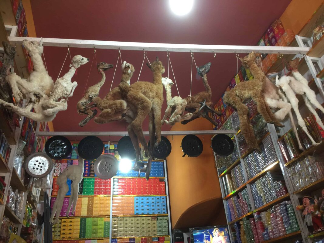 Goodluck Charms Potions and Spells inside Witches Market of Lapaz, La Paz Witches Market, The Witches' Market in La Paz Bolivia, The Witches Market of La Paz, Shopping for spells at the Witches Market in La Paz