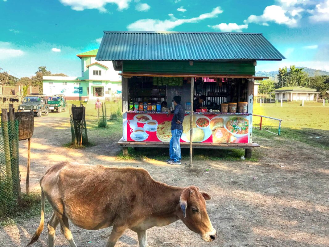 Street Photography in India, Street Photos in Rural India, Travel Photography blog by Dr Zenaidy Castro, travel blogger and wanderlust blogger life blog life travel blogging India