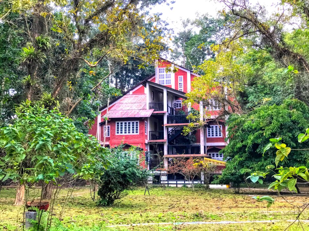 Street Photography in India, Street Photos in Rural India, Travel Photography blog by Dr Zenaidy Castro, travel blogger and wanderlust blogger life blog life travel blogging India