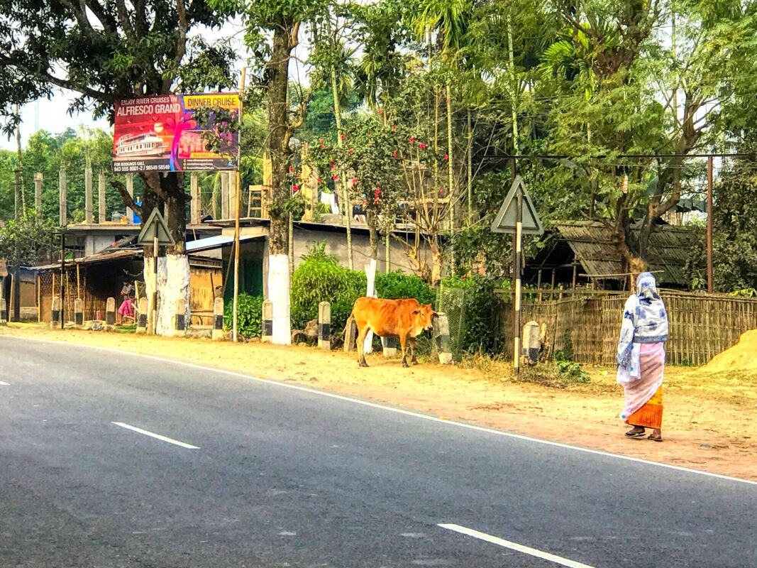 Street Photography in India, Street Photos in Rural India, Travel Photography blog by Dr Zenaidy Castro, travel blogger and wanderlust blogger life blog life travel blogging India