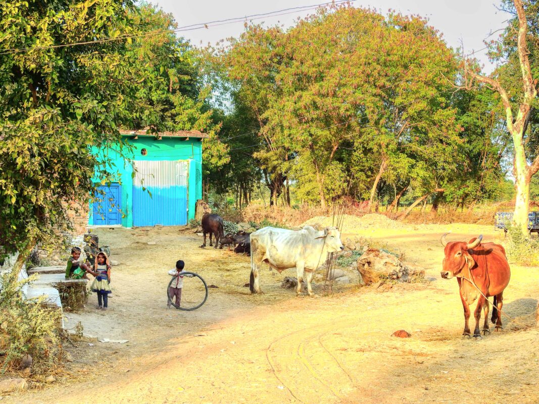 Street Photography in India, Street Photos in Rural India, Travel Photography blog by Dr Zenaidy Castro, travel blogger and wanderlust blogger life blog life travel blogging India