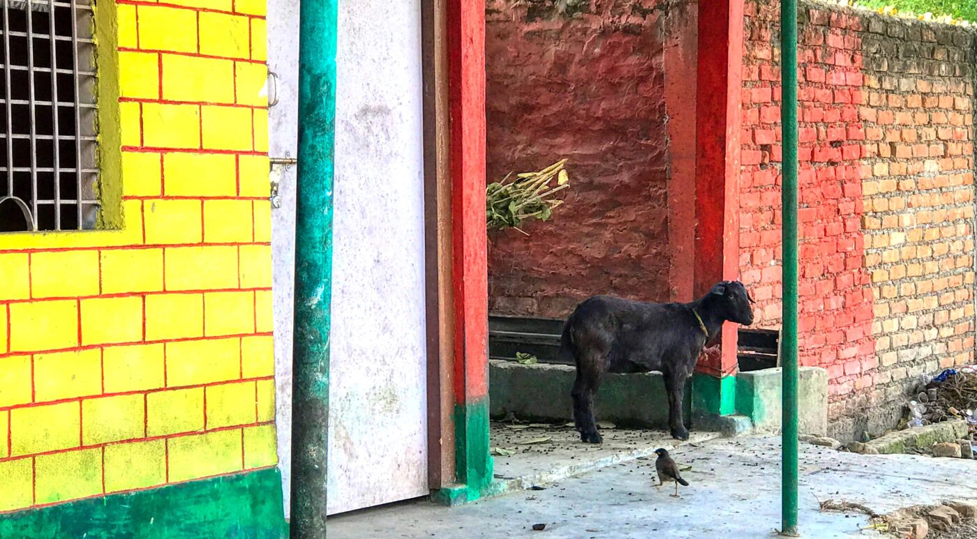 Street Photography in India, Street Photos in Rural India, Travel Photography blog by Dr Zenaidy Castro, travel blogger and wanderlust blogger life blog life travel blogging India