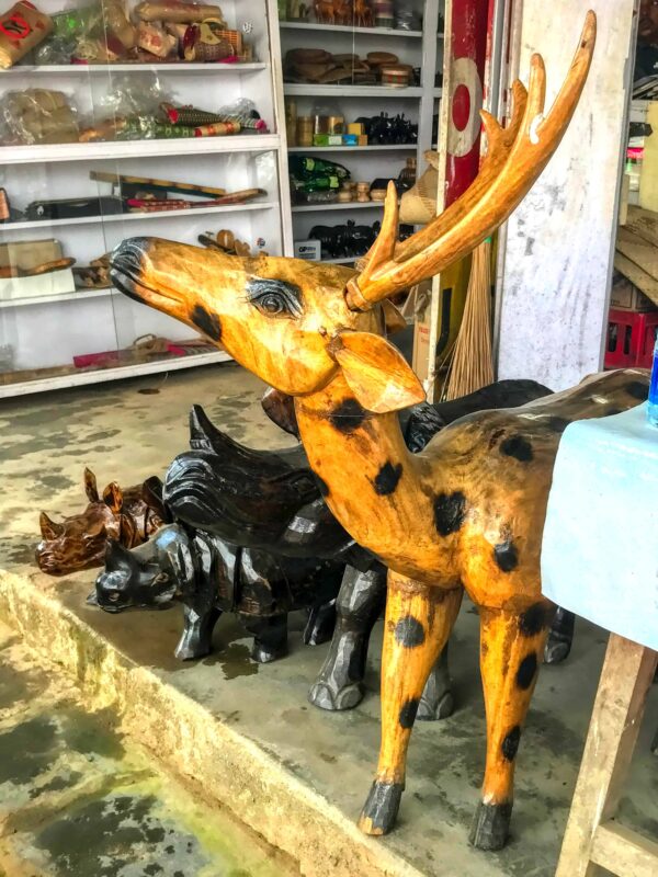 Street Photography in India, Street Photos in Rural India, Travel Photography blog by Dr Zenaidy Castro, travel blogger and wanderlust blogger life blog life travel blogging India