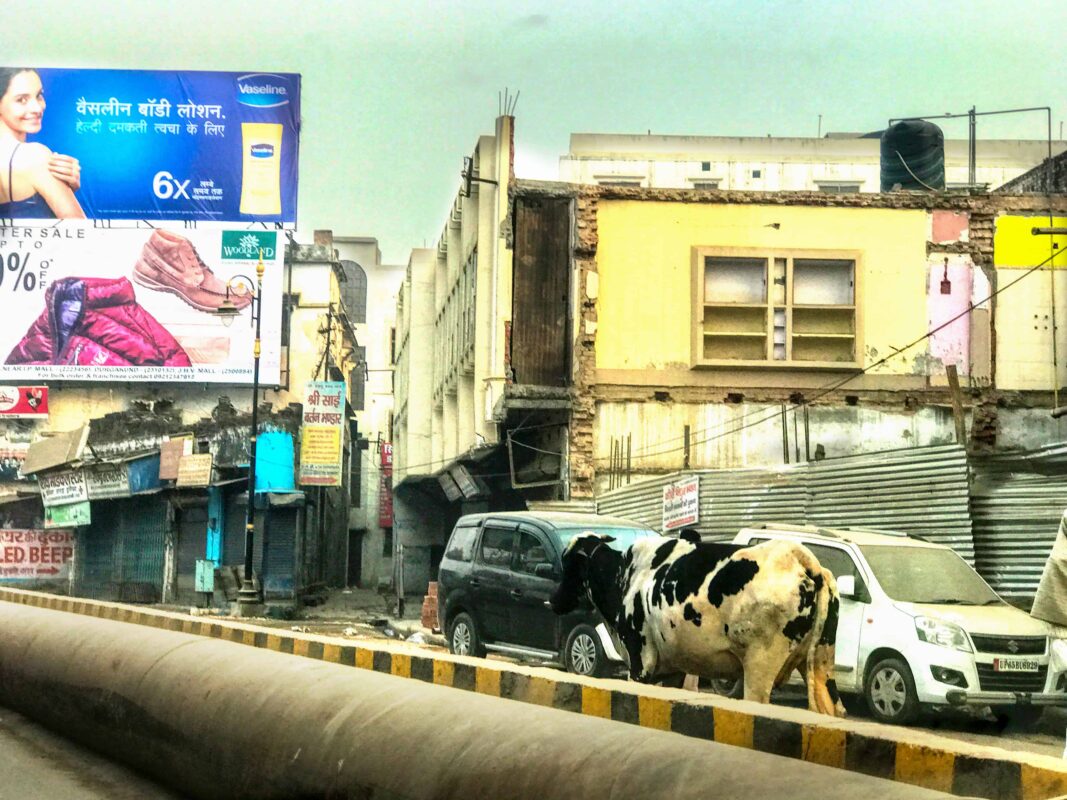 Street Photography in India, Street Photos in Rural India, Travel Photography blog by Dr Zenaidy Castro, travel blogger and wanderlust blogger life blog life travel blogging India