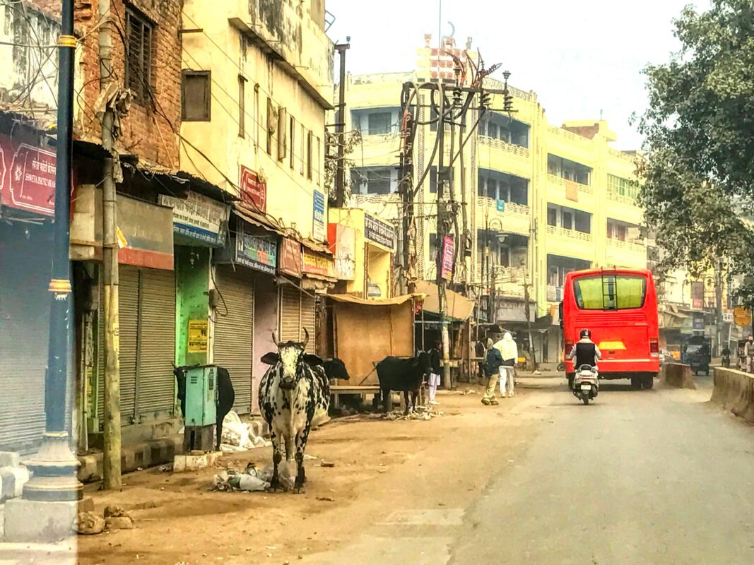 Street Photography in India, Street Photos in Rural India, Travel Photography blog by Dr Zenaidy Castro, travel blogger and wanderlust blogger life blog life travel blogging India