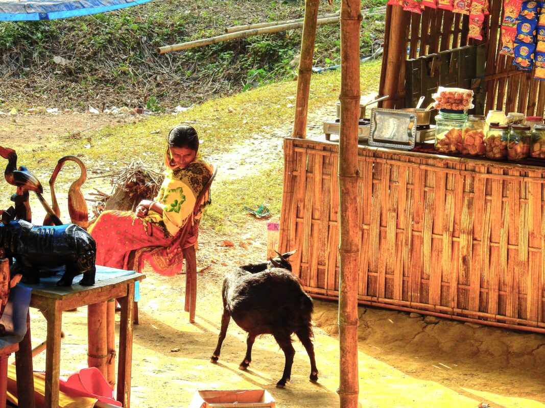 Street Photography in India, Street Photos in Rural India, Travel Photography blog by Dr Zenaidy Castro, travel blogger and wanderlust blogger life blog life travel blogging India