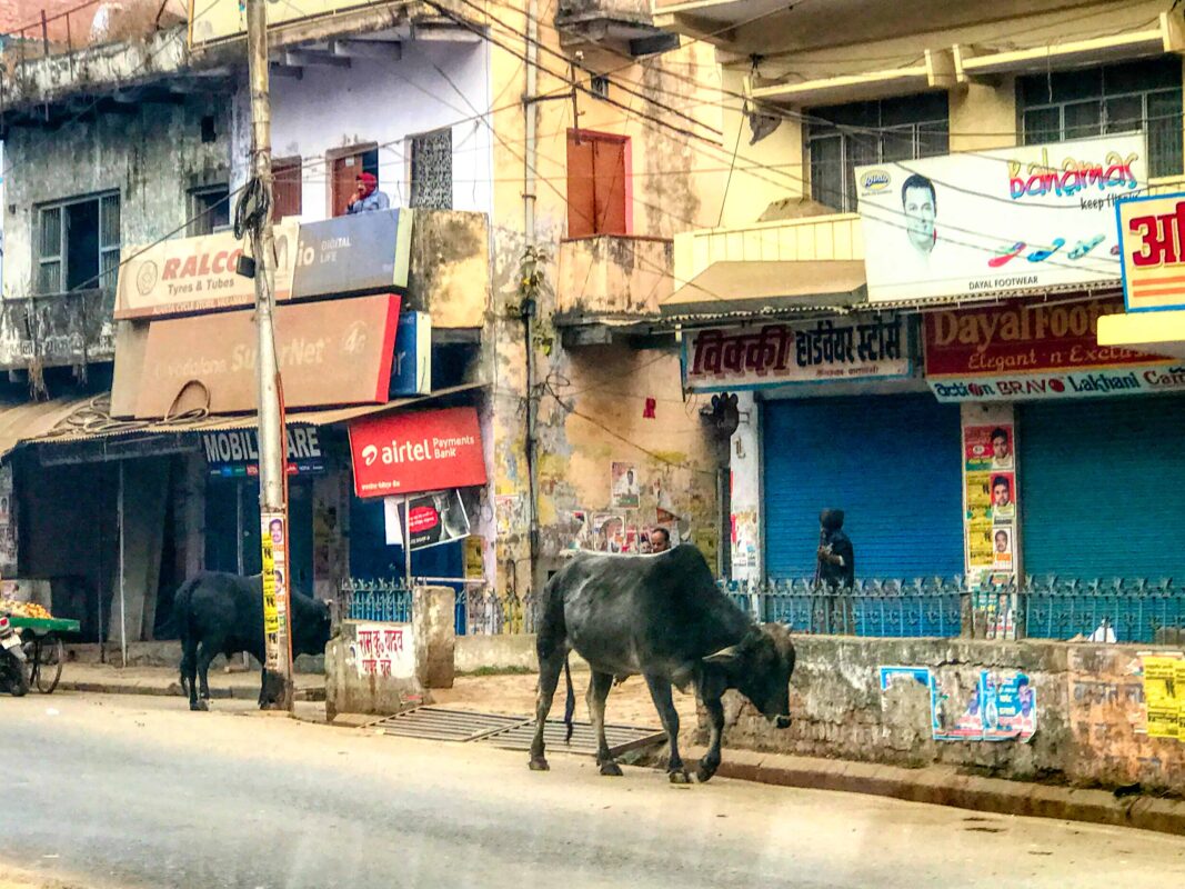 Street Photography in India, Street Photos in Rural India, Travel Photography blog by Dr Zenaidy Castro, travel blogger and wanderlust blogger life blog life travel blogging India