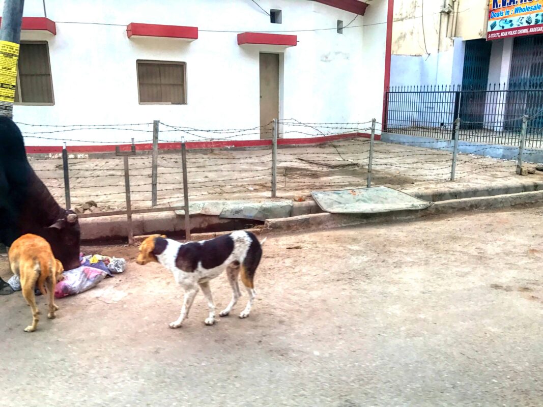 Street Photography in India, Street Photos in Rural India, Travel Photography blog by Dr Zenaidy Castro, travel blogger and wanderlust blogger life blog life travel blogging India