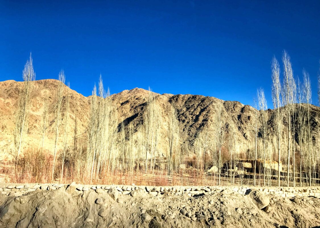 Road trip from Leh to Pangong Lake, Pangong Lake District Leh Union Territory of Ladakh India, Travel Photography Pangong Lake, Travel Blog by Dr Zenaidy Castro, travel blogger and wanderlust blogger life blog life travel blogging Pangong Lake