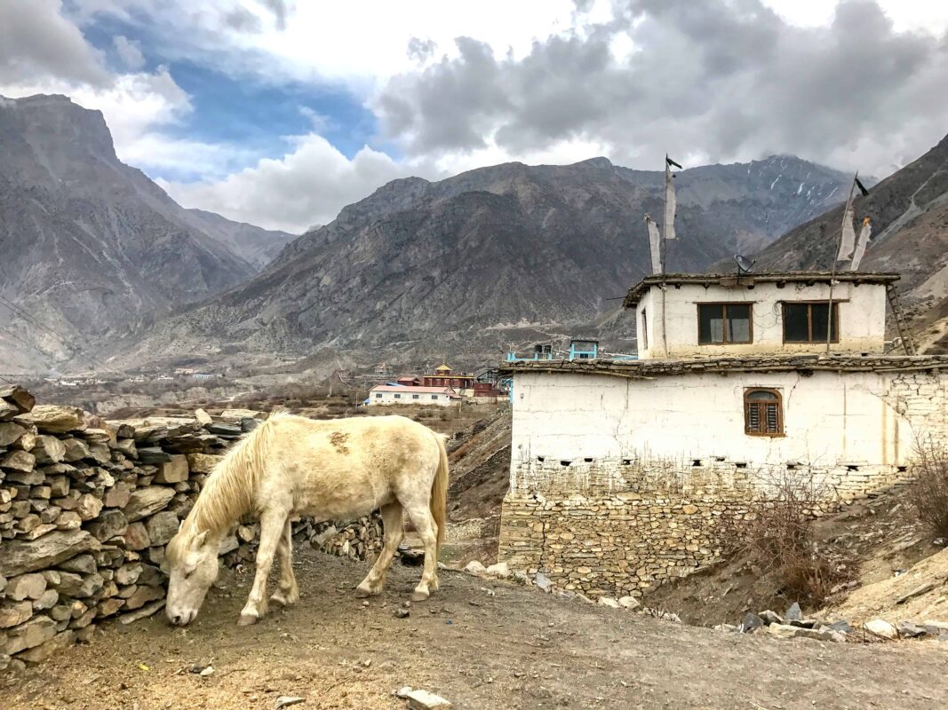 Lower Mustang Nepal Trekking Trail, Street Photos in Lower Mustang Loop Trek, Travel Photography of the Lower Mustang Trek blog by Dr Zenaidy Castro, Lower Mustang Trek photos