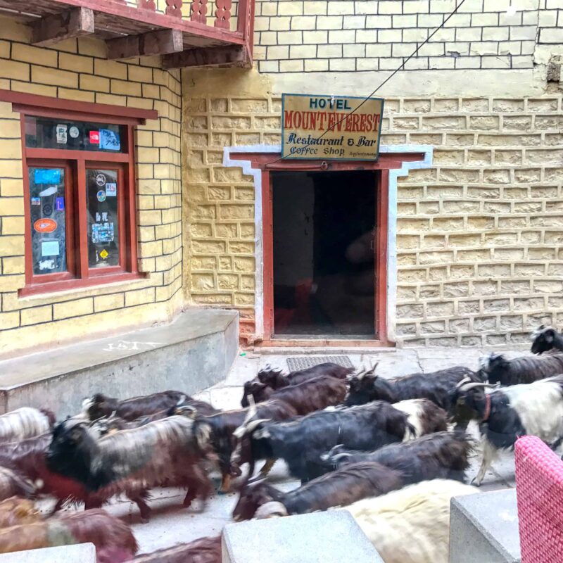 Lower Mustang Nepal Trekking Trail, Street Photos in Lower Mustang Loop Trek, Travel Photography of the Lower Mustang Trek blog by Dr Zenaidy Castro, Lower Mustang Trek photos