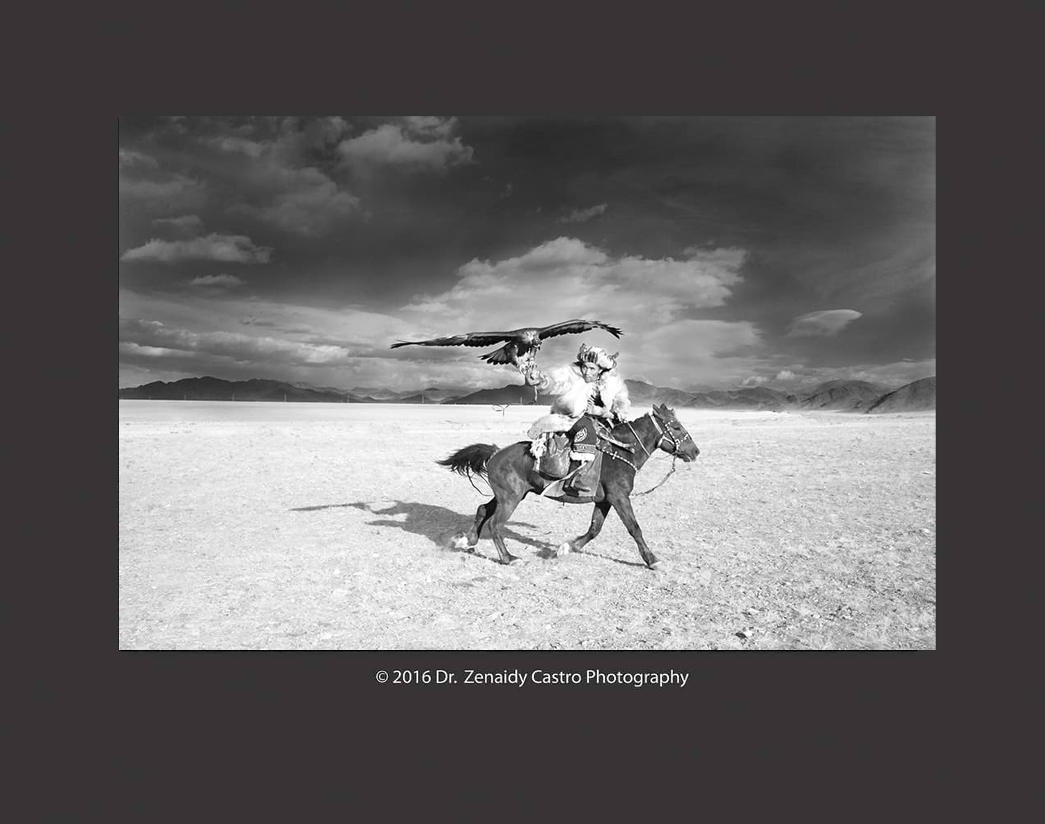 Mongolia’s Kazakh Eagle Hunters, Mongolia Eagle Hunters and their Golden Eagles, Kazakh Eagle Hunters in Mongolia, Eagle Hunters and eagle huntresses of western Mongolia, Mongolian Eagle Hunters & Eagle Hunting, Dr Zenaidy Castro Photography, globetrotting Dentist and award winning Cultural portrait Photographer,