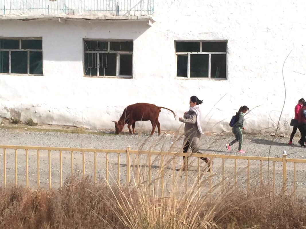 Ölgii, the extreme West Province of Mongolia, Mongolia Travel Guide, The center of the predominantly Kazakh region of Mongolia, Mongolian Travel, West of Mongolia borders the People's Republic of China to the South and Russia to west and north