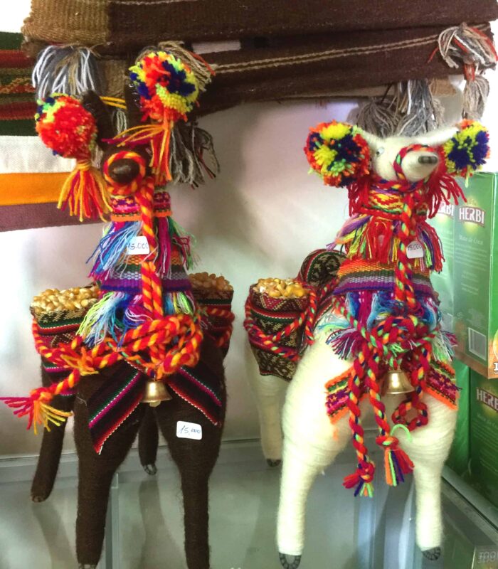 Street Photography in San Pedro de Atacama Chile South America, Street Photos in Town Plaza of San Pedro de Atacama Chile.