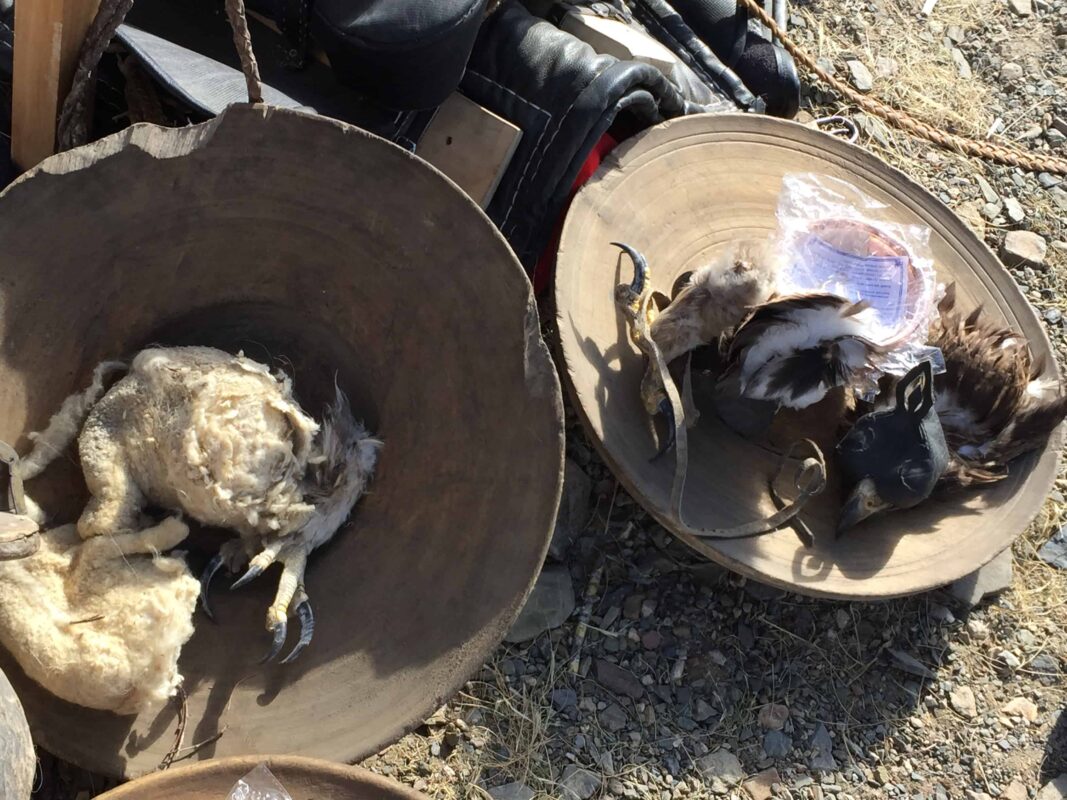 shopping experience inside mongolia’s naadam festival, Experience Mongolia's Naadam Festival, Naadam Festival holiday in Mongolia