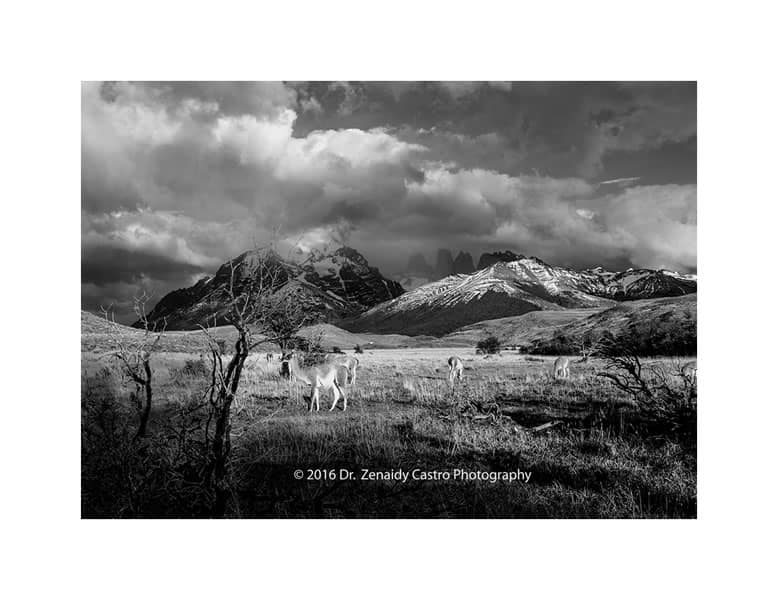 Trekking Experiences in Patagonia from Inexperienced Hiker, Patagonian Adventure, That's What It's Like to Hike in Patagonia, Patagonia Experience for New Hikers, My Trekking Experience in Patagonia, New Hiker's Trekking Experiences in El Chaltén and Torres del Paine