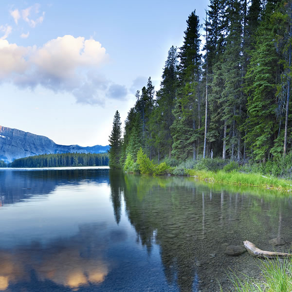 Life Reflected in Water, Reflection of Life in Water, Reflection of Life in Water, Discover Wonder through Water