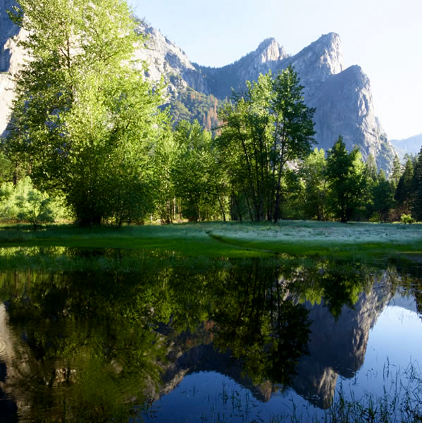 Life Reflected in Water, Reflection of Life in Water, Reflection of Life in Water, Discover Wonder through Water