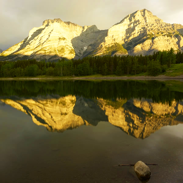 Life Reflected in Water, Reflection of Life in Water, Reflection of Life in Water, Discover Wonder through Water