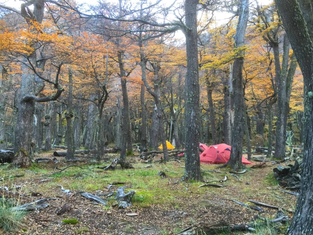 Hiking to Mount Fitz Roy and Hiking to Laguna de los Tres in El Chaltén, Sendero al Fitz Roy, Cerro Fitz Roy Patagonia, the trail to Mount Fitz Roy and Laguna de los Tres. Fitz Roy Trek as one of Patagonia's Best Hikes, Patagonia South America