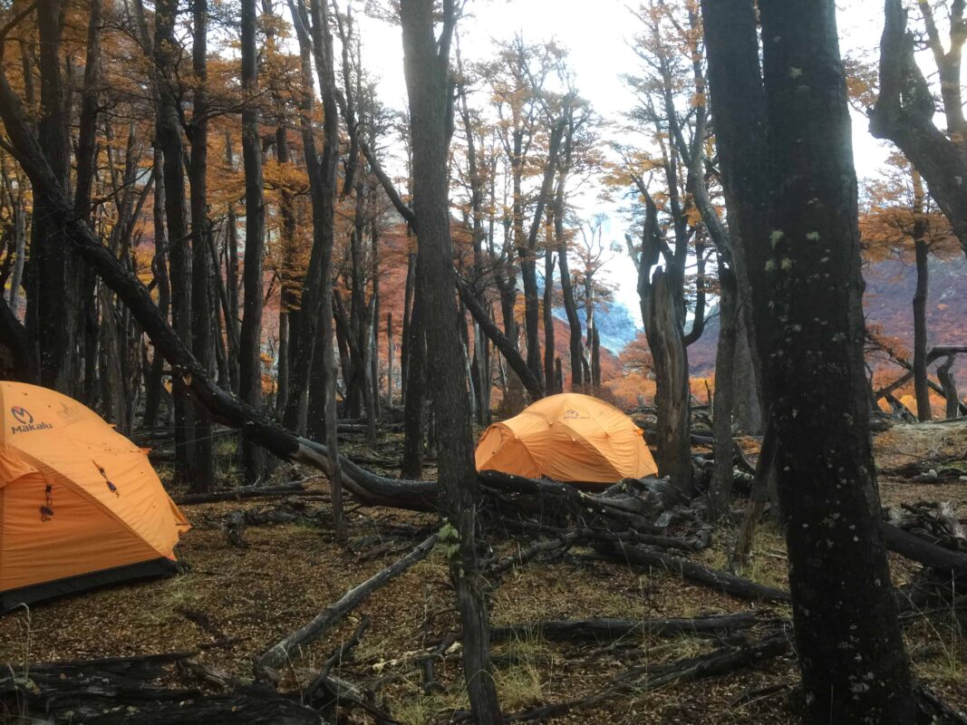 Hiking to Mount Fitz Roy and Hiking to Laguna de los Tres in El Chaltén, Sendero al Fitz Roy, Cerro Fitz Roy Patagonia, the trail to Mount Fitz Roy and Laguna de los Tres. Fitz Roy Trek as one of Patagonia's Best Hikes, Patagonia South America