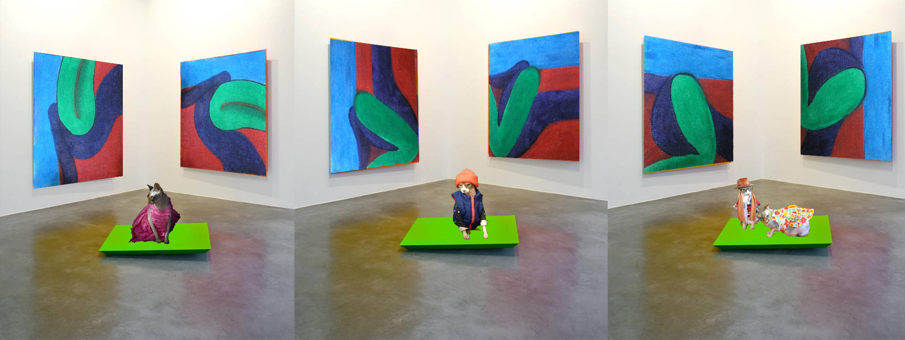 Curated Abstract Art Photography by Dr Zenaidy Castro, General and Cosmetic dentist of Vogue Smiles Melbourne Australia.