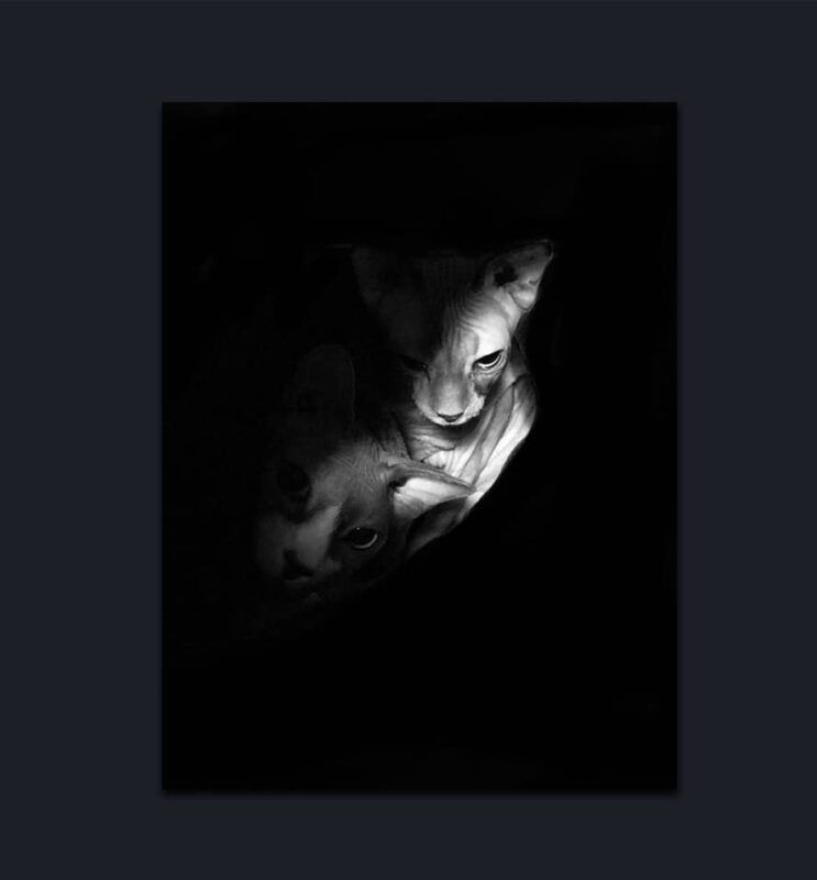 Dr Zenaidy Castro, General and Cosmetic Dentist in Melbourne Australia, Black and White Photographer. Abstract Artist, Australian woman Photographer, Art and Dentistry, Photography and Design, Creative Professionals, Painter-Photographers, Inspiring story of Female Entrepreneurs, 