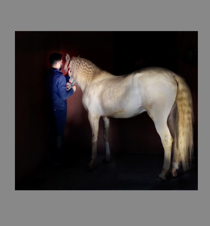 Dr Zenaidy Castro, General and Cosmetic Dentist in Melbourne Australia, Black and White Photographer. Abstract Artist, Australian woman Photographer, Art and Dentistry, Photography and Design, Creative Professionals, Painter-Photographers, Inspiring story of Female Entrepreneurs, 