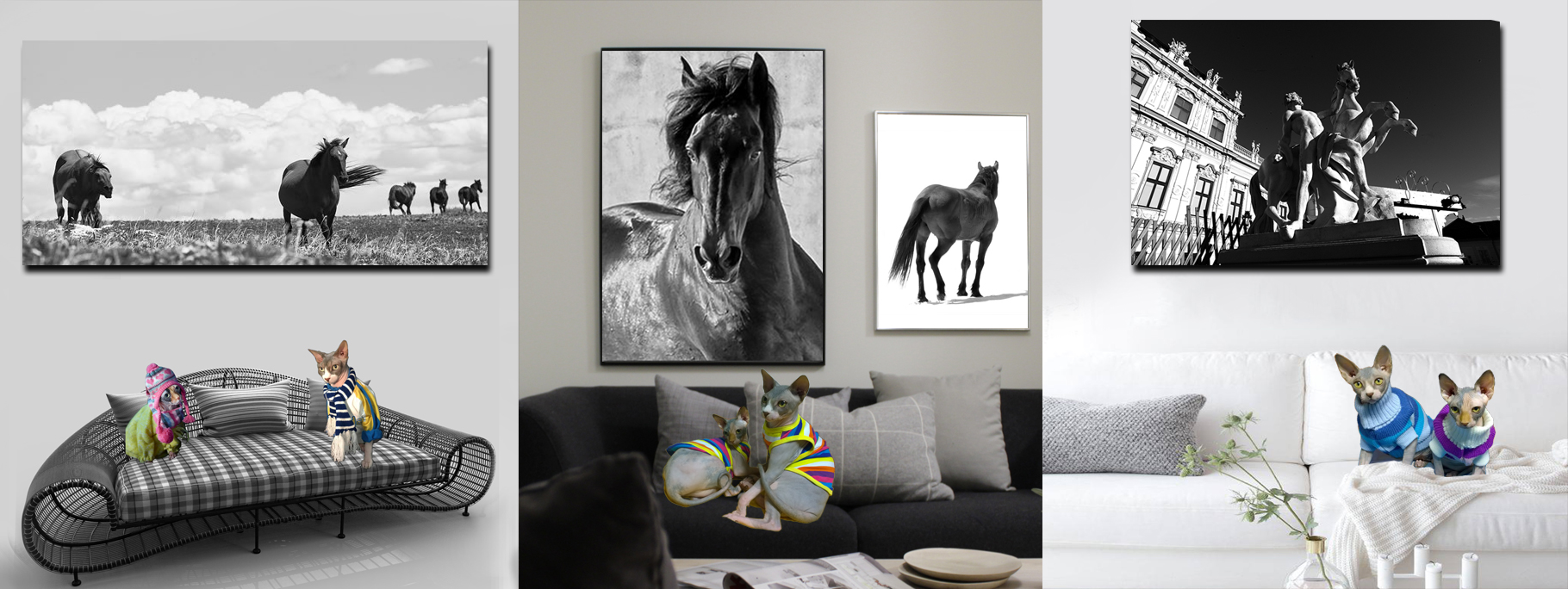 Curated Black and White Photography by Dr Zenaidy Castro, General and Cosmetic dentist of Vogue Smiles Melbourne Australia.