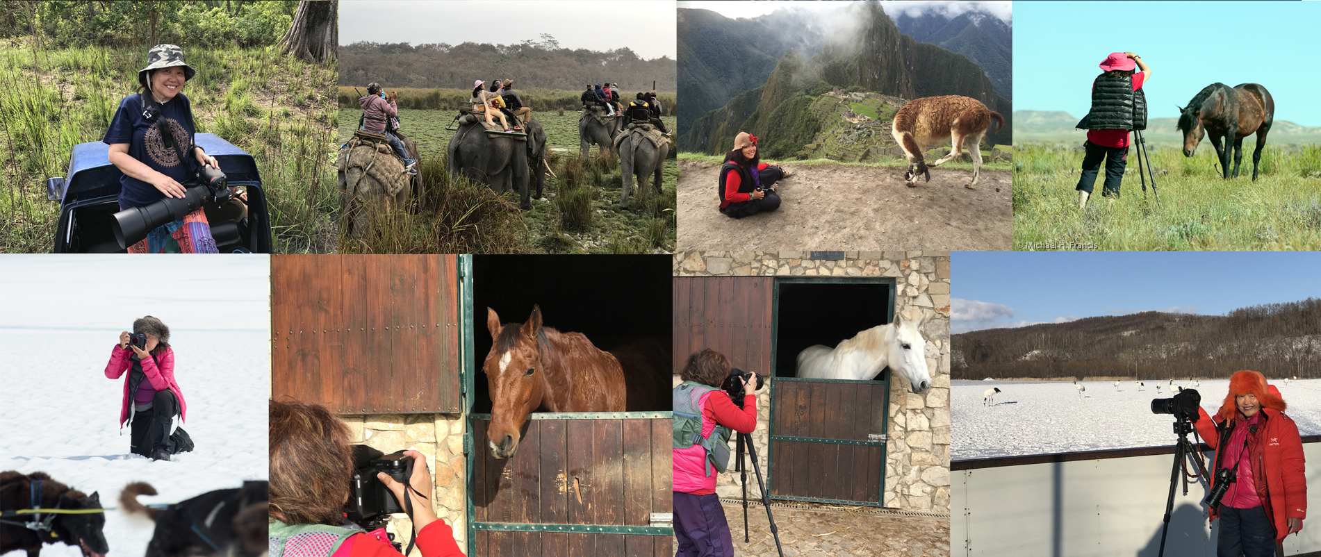 Australian Photographer and Dentist Dr Zenaidy Castro in Mlebourne Australia, Dr Zenaidy Castro is a famous Cosmetic Dentist and Australian award winning fine art Australian landscape photographer