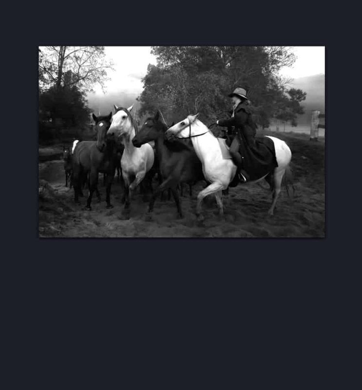 Dr Zenaidy Castro, General and Cosmetic Dentist in Melbourne Australia, Black and White Photographer. Abstract Artist, Australian woman Photographer, Art and Dentistry, Photography and Design, Creative Professionals, Painter-Photographers, Inspiring story of Female Entrepreneurs, 